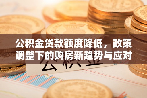 浦东公积金贷款额度降低，政策调整下的购房新趋势与应对策略