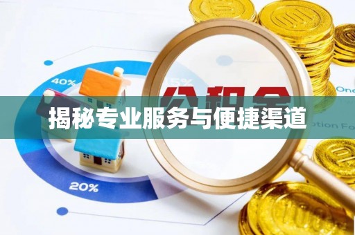 浦东揭秘专业服务与便捷渠道