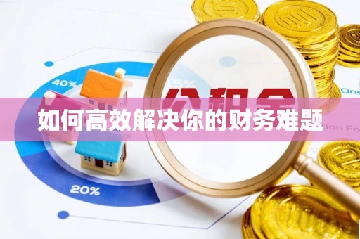 浦东如何高效解决你的财务难题