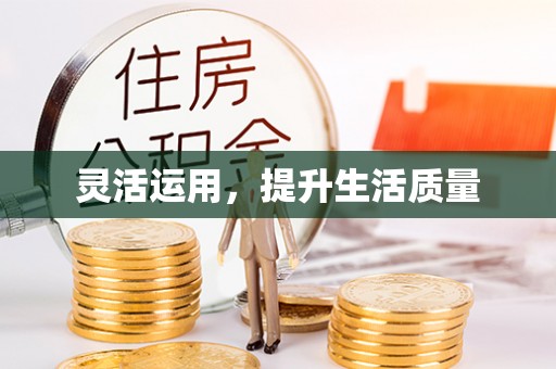 浦东灵活运用，提升生活质量