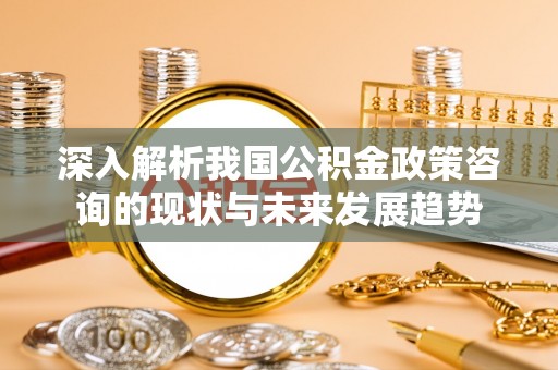 浦东深入解析我国公积金政策咨询的现状与未来发展趋势
