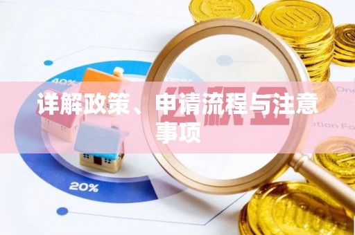 浦东详解政策、申请流程与注意事项